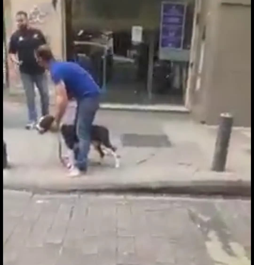 بالصُّرة: كلبٌ مسعورٌ يقطع إصبع أحدِ المارّة في شارعِ الحمرا في بيروتَ!