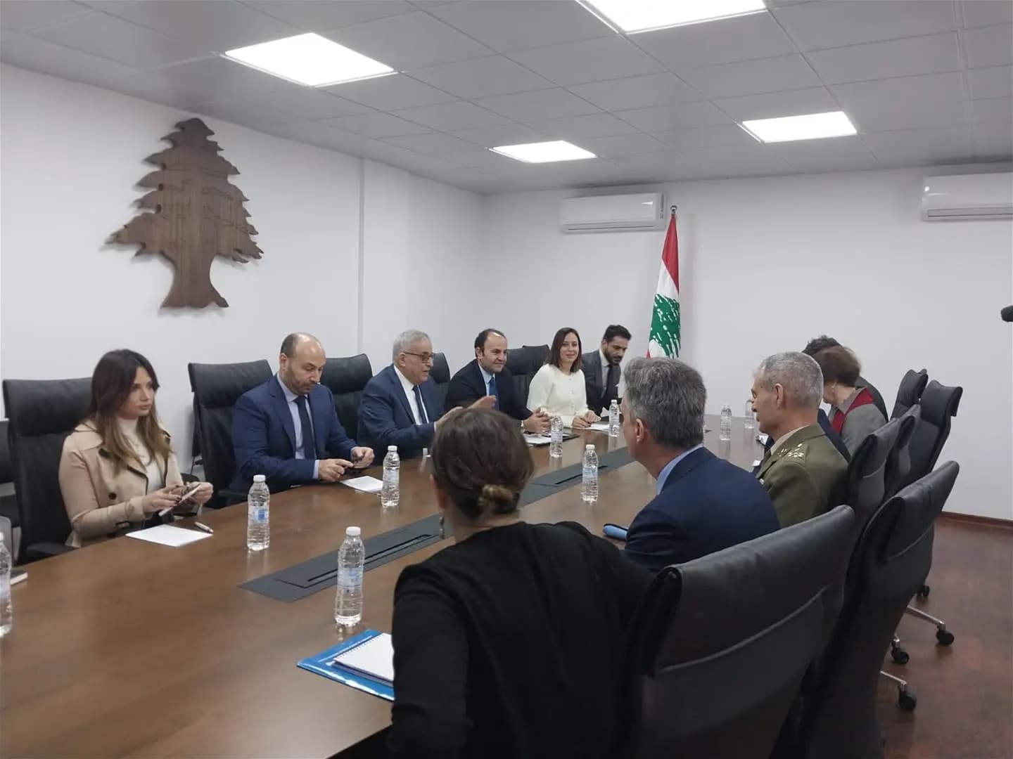 "هي ركنٌ أساسيُّ".. بوحبيب: لا يمكن القفز فوق مزارع شبعا