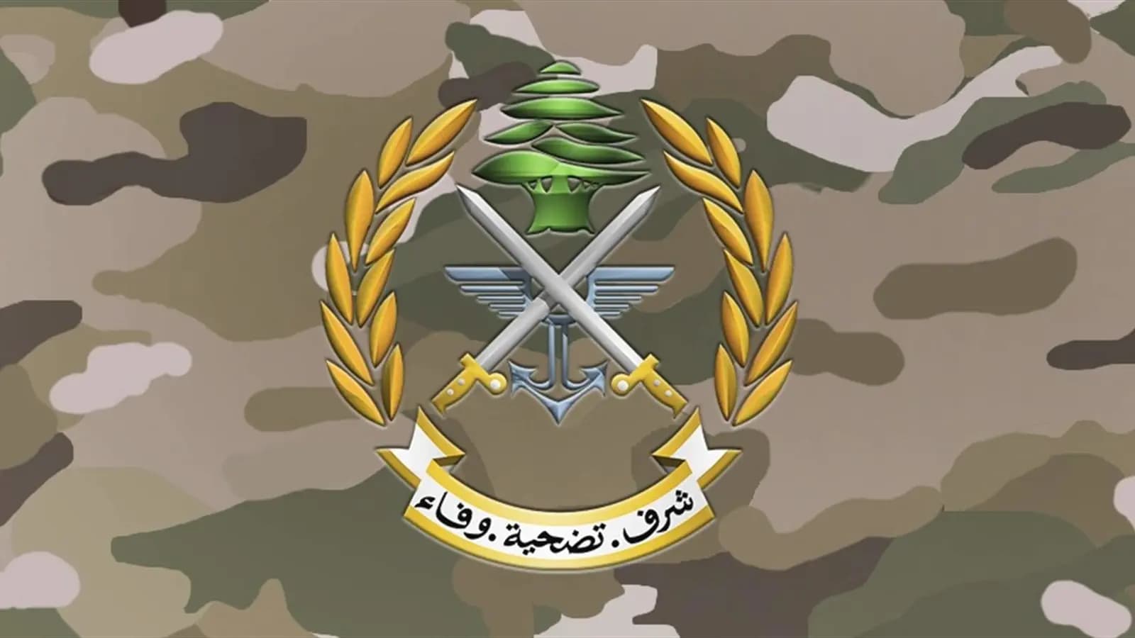 "الجيش" يحرر مخطوفَين عند الحدود