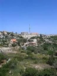 بالصورة: كفرا الجنوبية تودع شهيديها
