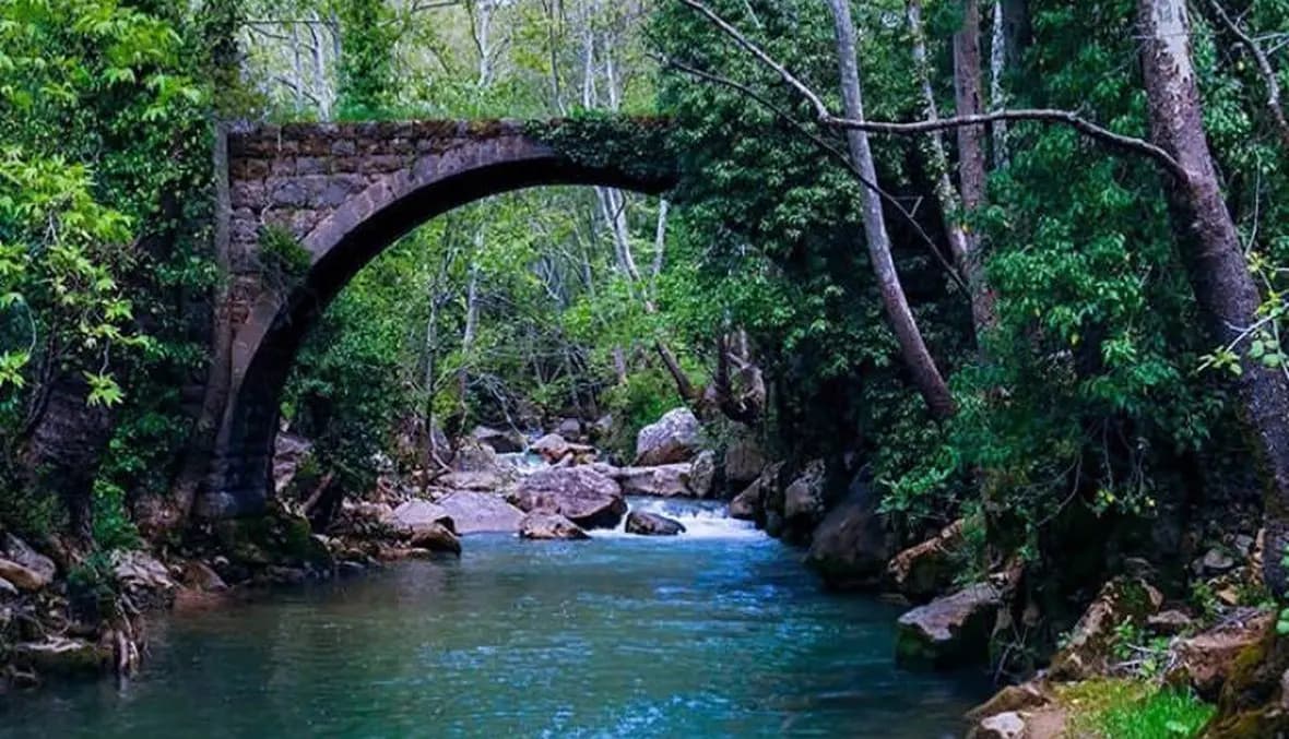 "في يومها الوطني".. المحميات الطبيعية تفتح أبوابها مجانًا