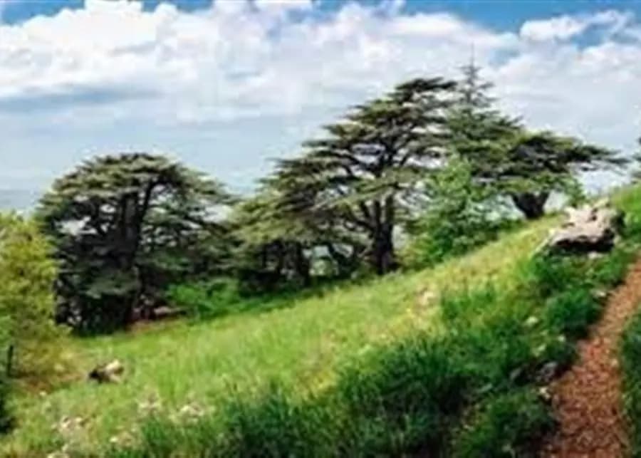 صورة 1