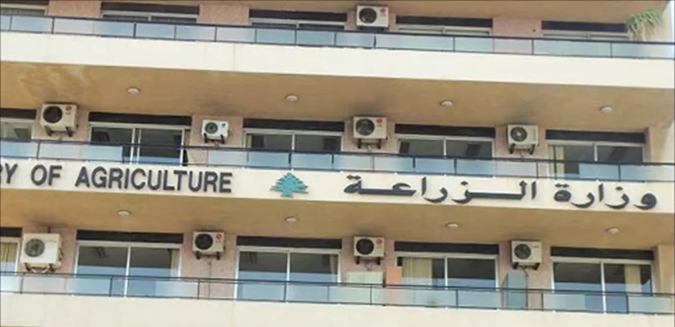 وزارة الزراعة تؤكد: الحشرات الطائرة لا تؤذي الإنسان