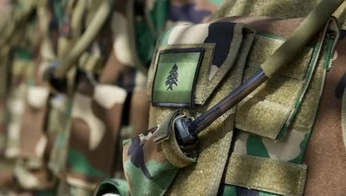 لارتكابهم جرائم مختلفة.. الجيش يوقف عدداً من المواطنين