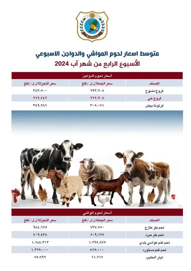 صورة 1