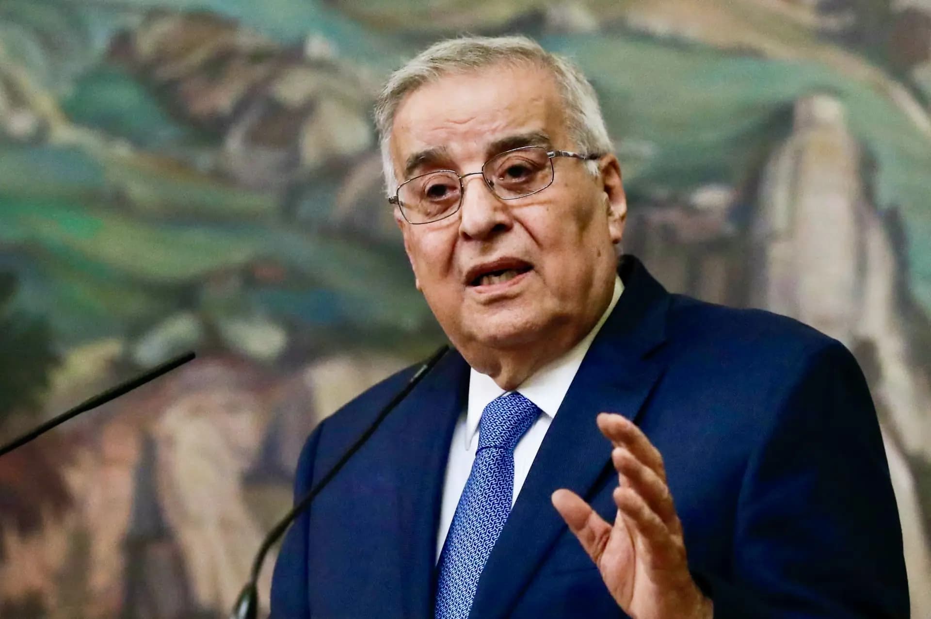 "لسنا هواة حرب".. بو حبيب: لا بديل عن قرار مجلس الأمن