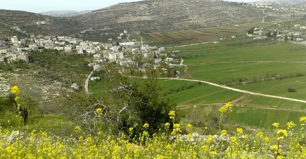 العدو يستهدف مبنىً في الجنوب