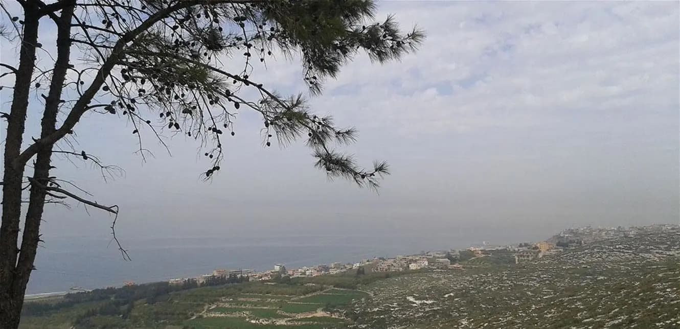 المسعف وابنه يرحلان سويًّا في أنصارية