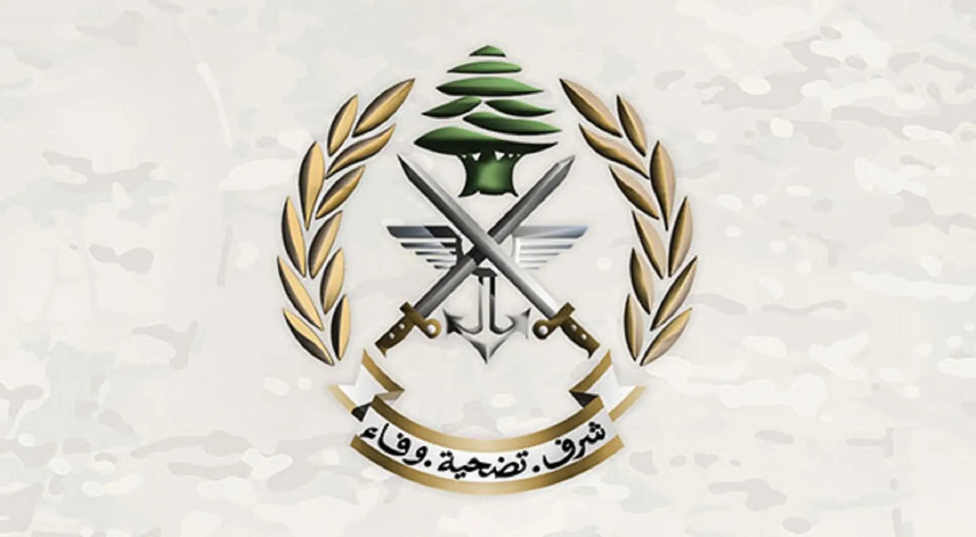 " للاطلاع على الواقع الميداني".. أعضاء اللجنة الخماسية يقومون بجولة جوية