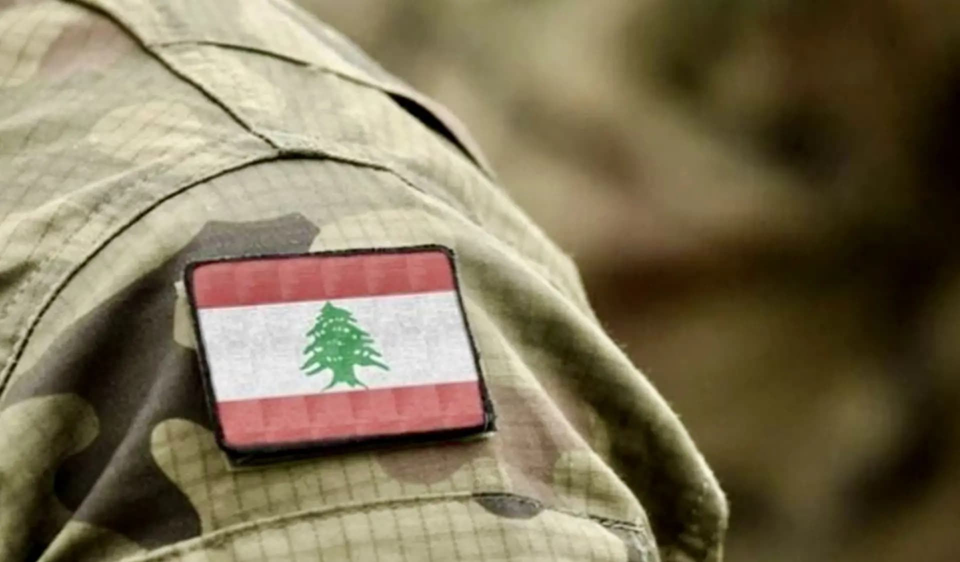 "في صور".. الجيش يقوم بنشاط هام