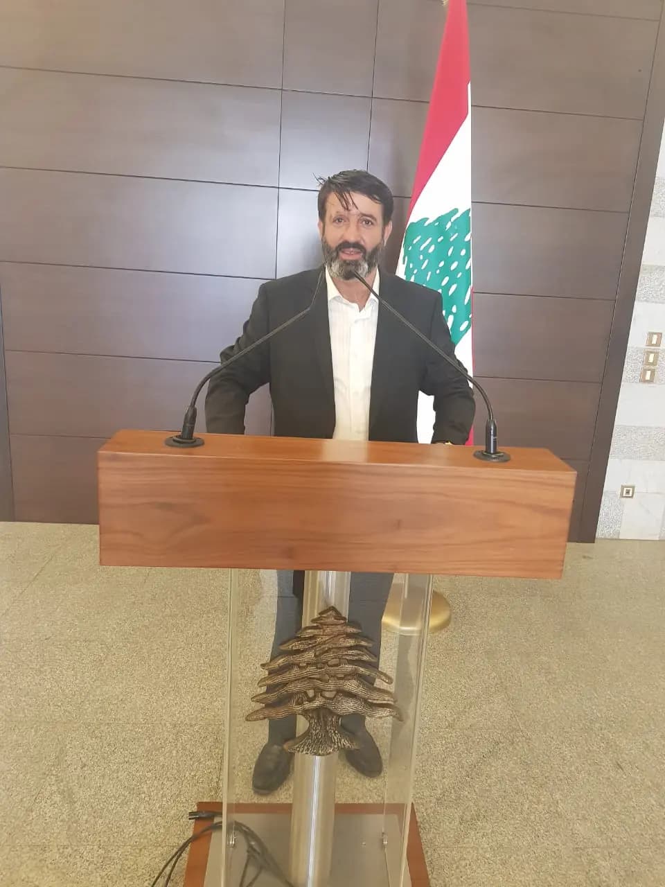 شومان: نبارك للوطن بفخامة الرئيس