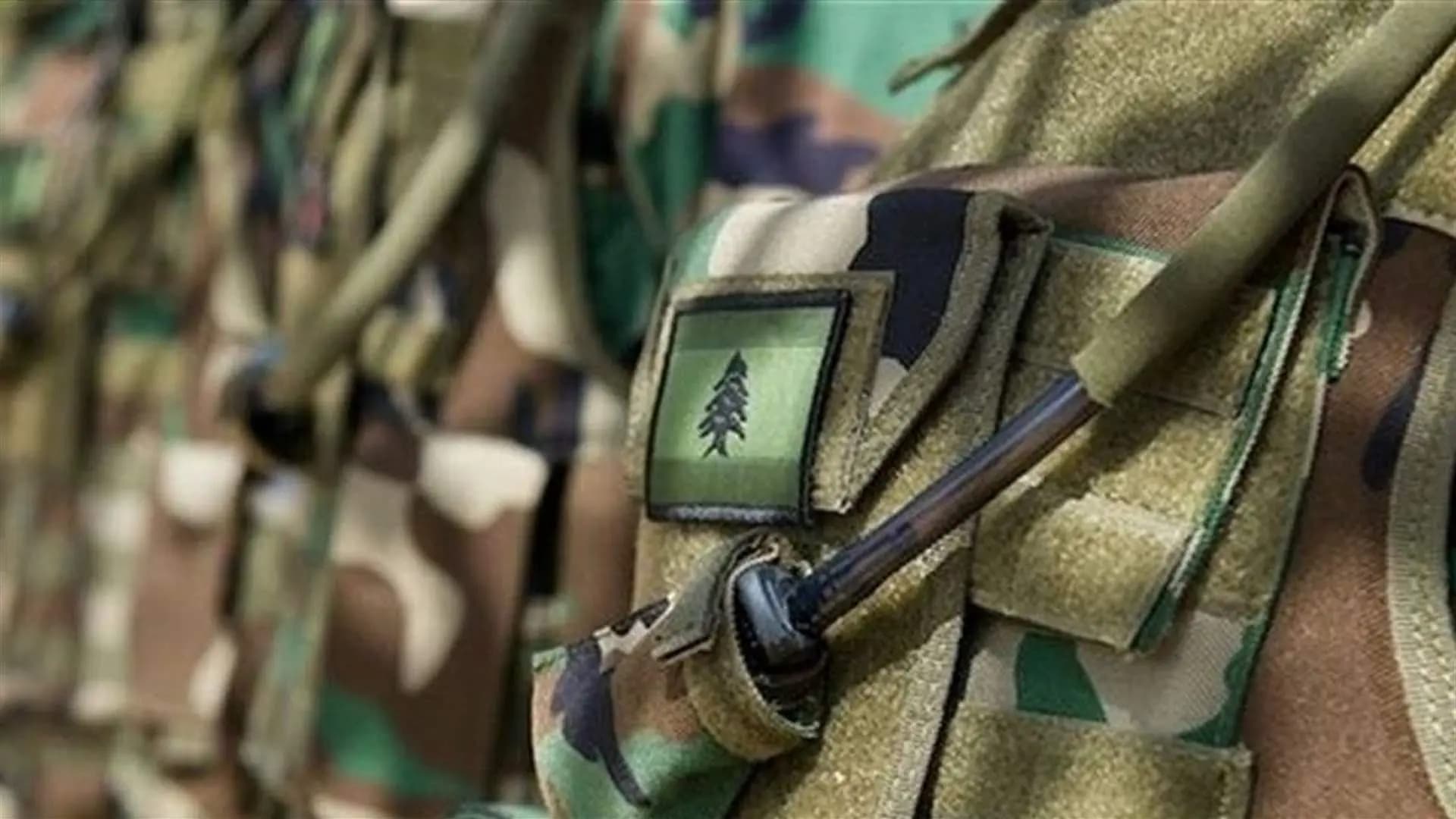 هذا ما سيفعله الجيش في حقل وطى الجوز