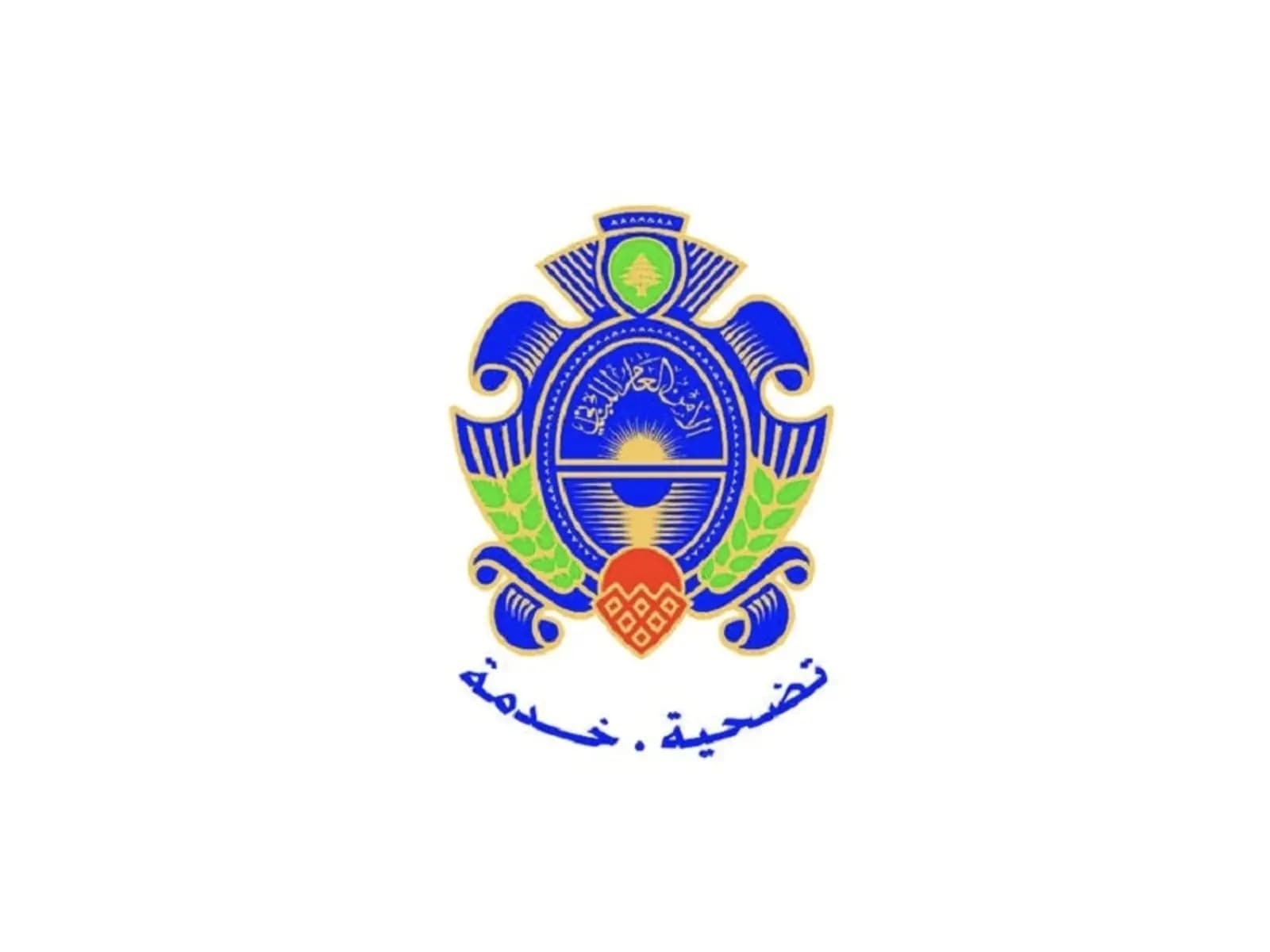 "الأمن العام" يحذر من "لينكات" مزيفة