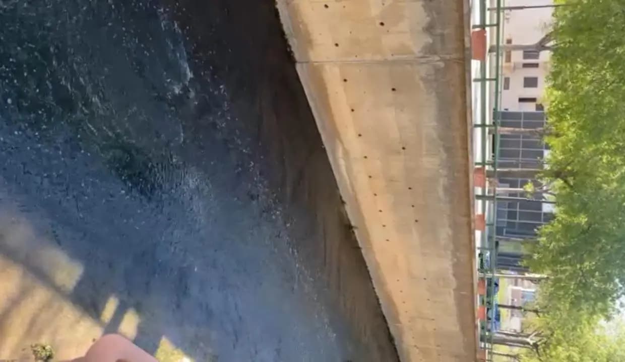 السواد يلف مياه البردوني.. ومحافظ البقاع يتحرك