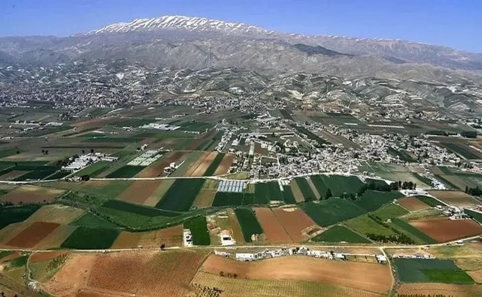بالأسماء.. من هم رؤساء الاتحادات في البقاع؟