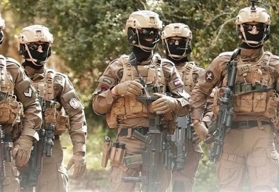 فرع المعلومات "أكل الضرب"