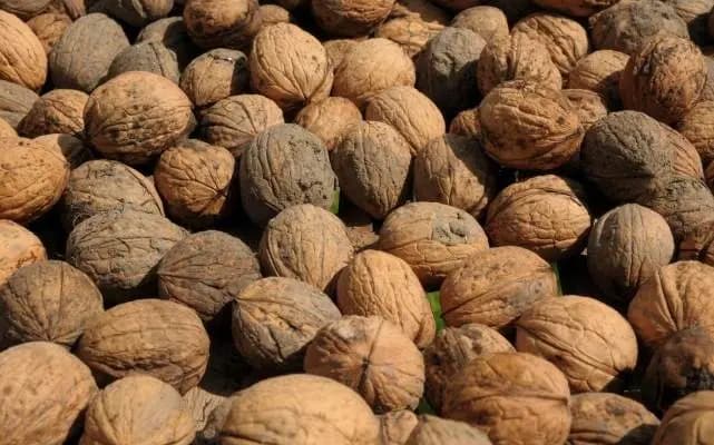 طرد امرأة من رحلة طيران أميركية بسبب الجوز!