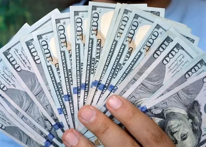 أكثر من ألف دولار.. قوى الأمن تبحث عن فاقدها!