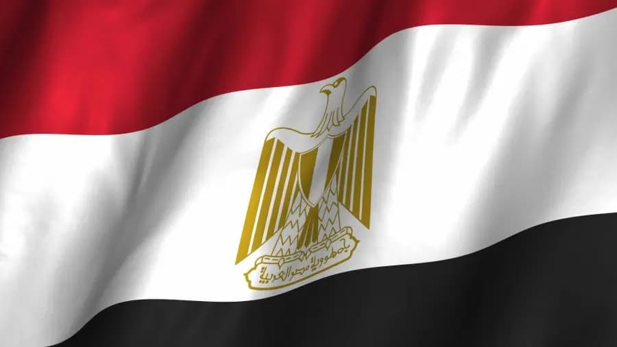 الجيش المصري: توقيف 217 مهاجرا غير نظامي من جنسيات عدة