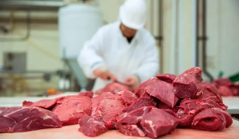 نقابة اتحاد القصابين وتجار المواشي تحذّر