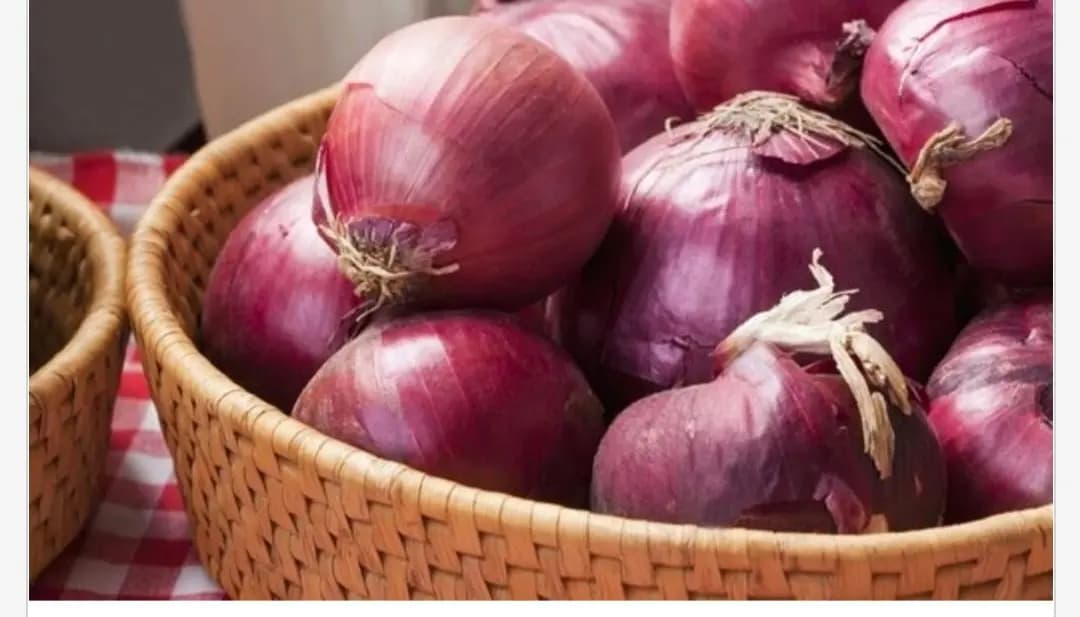 تصدير البصل من لبنان سيخضع إلى إذنٍ مسبق