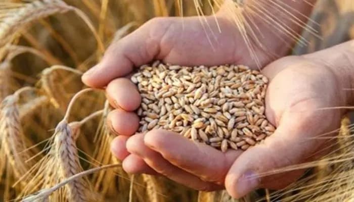 تجويعُ المواطن "الموتُ البطيء في أبشع حلله".. والمسؤولون يتلهّون بالتّفاصيل!