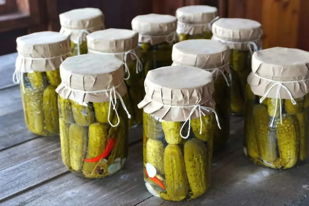 فوائد الأطعمة المخمرة!