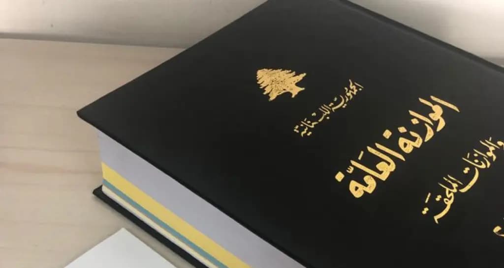 موازنة 2023: تصفية القطاع العام