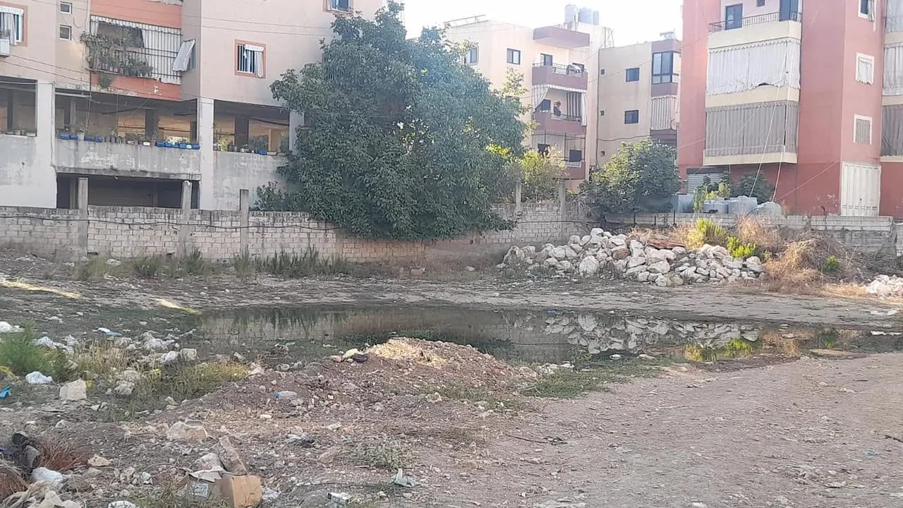 كارثة صحية.. أهالي تول الجنوبية يناشدون وزير البيئة