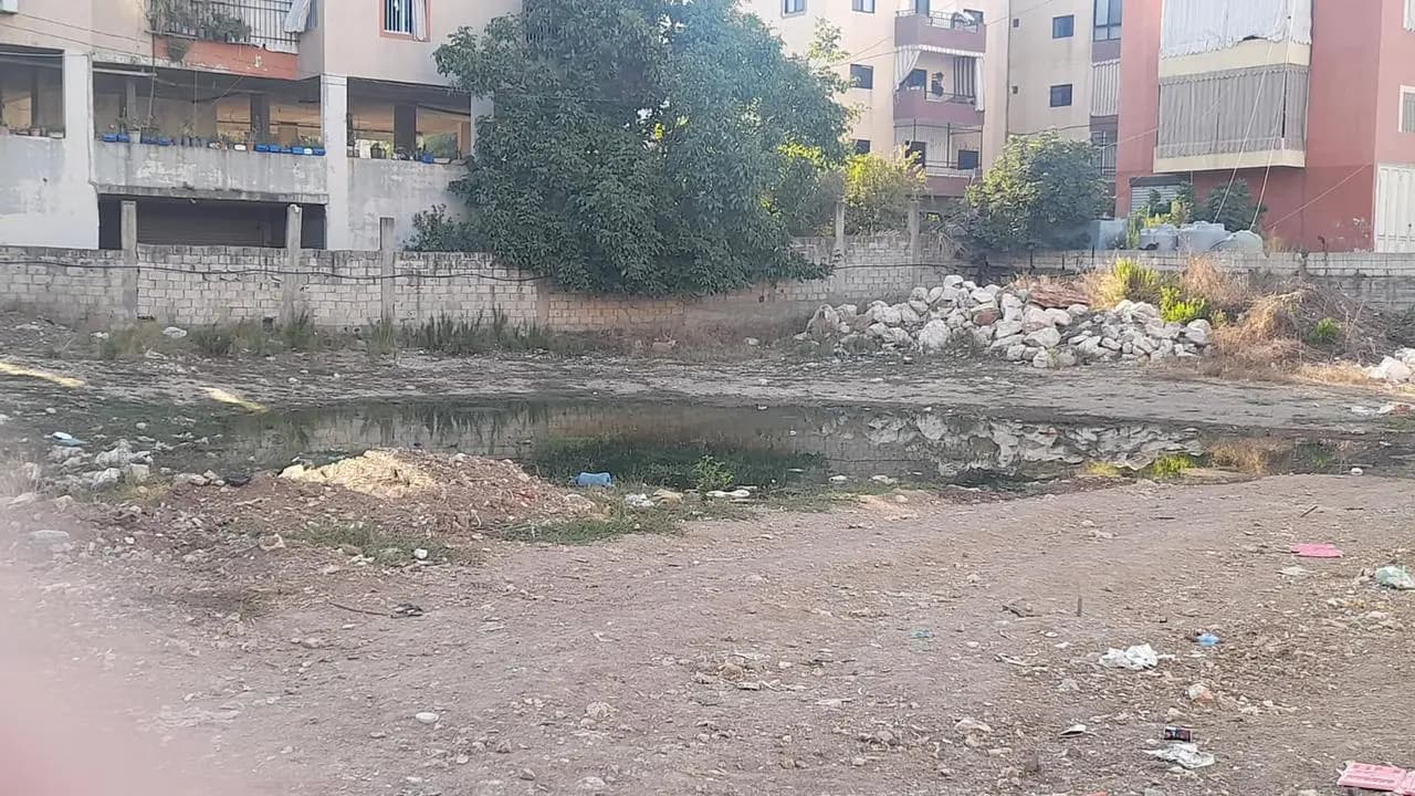 صورة 4
