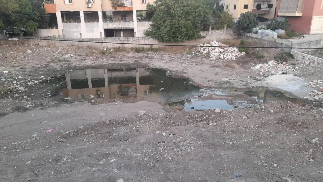 صورة 3