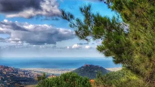 إليكم حال الطقس