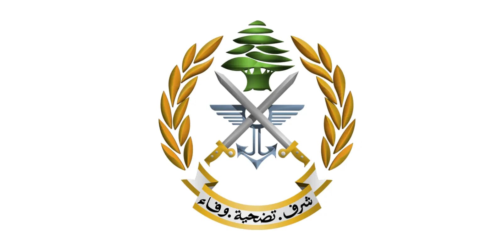 طيران ليلي للجيش في هذه الأيام