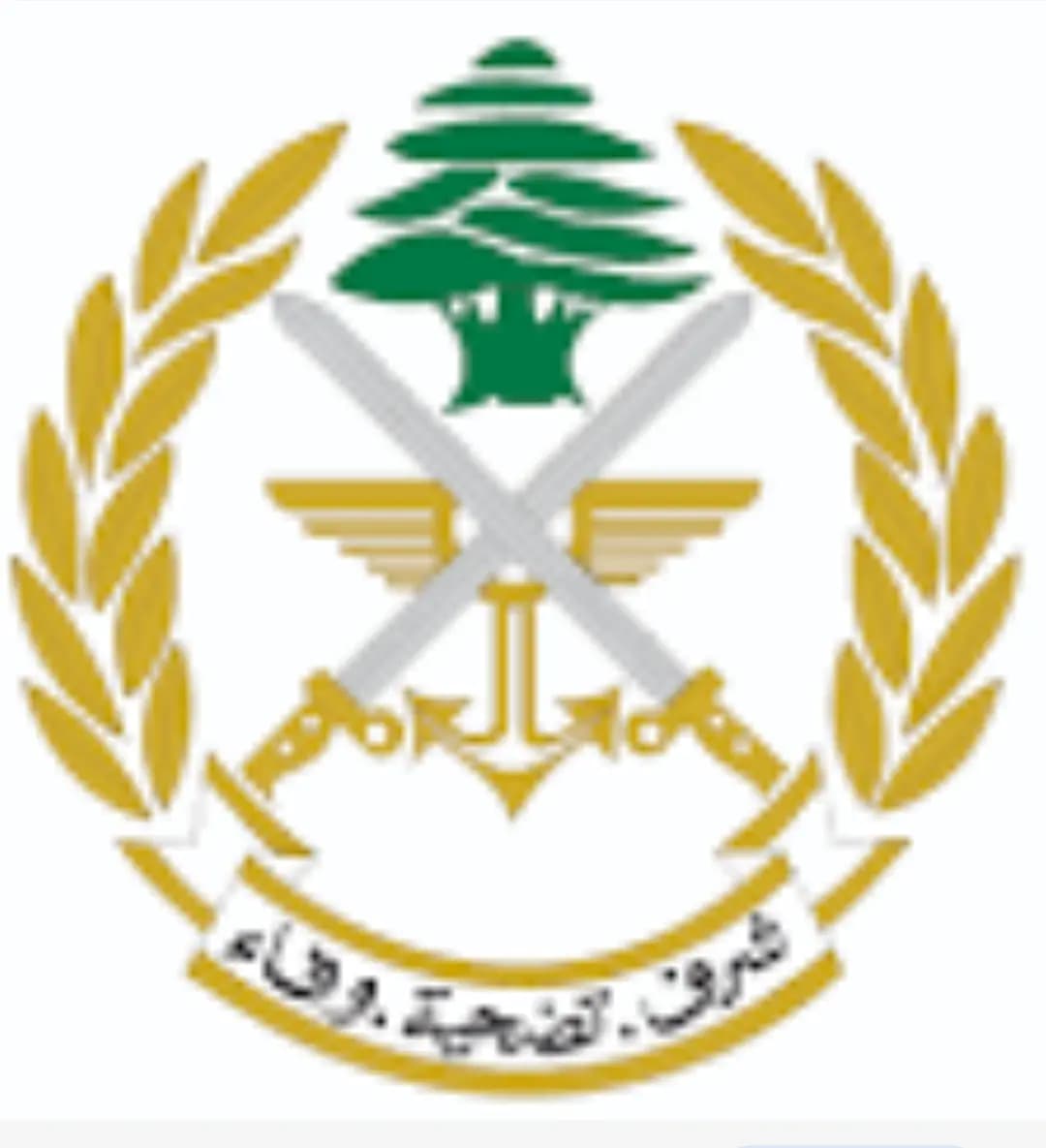الجيش: تمارين تدريبية وتفجير ذخائر في مناطق عدة