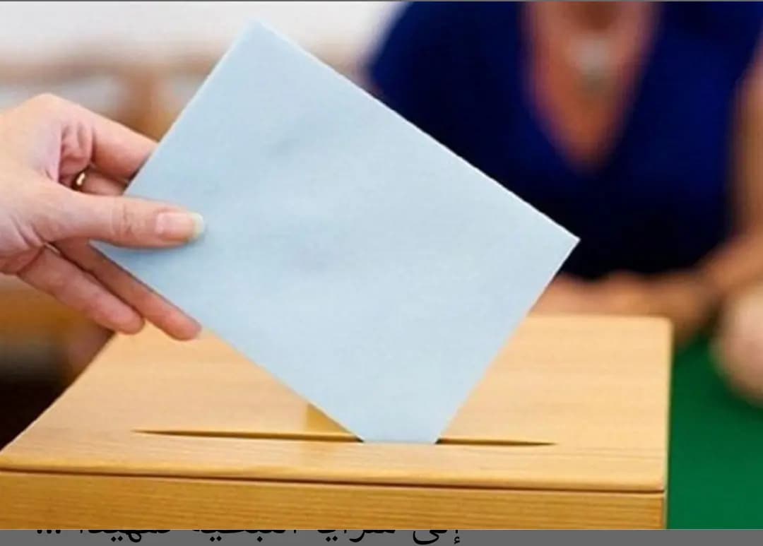 المؤسَّسات الاغترابيَّة للحكومة: نحذِّر من إلغاء اقتراع الناّاخبين في الخارج لأي سبب من الأسباب