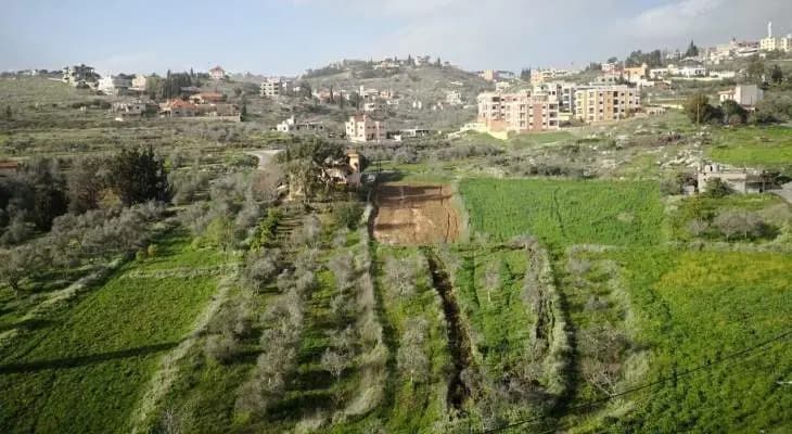 بلديات الجنوب تبدأ حملاتها لتنشيط الزراعة المحلية: تحويل التهديد إلى فرصة!