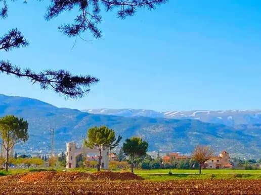 حادثة مأسوية داخل مقهى في بوداي