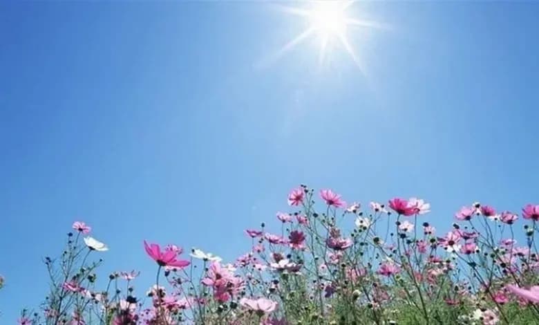 استقرار قبل الغبار.. والحرارة في ارتفاع