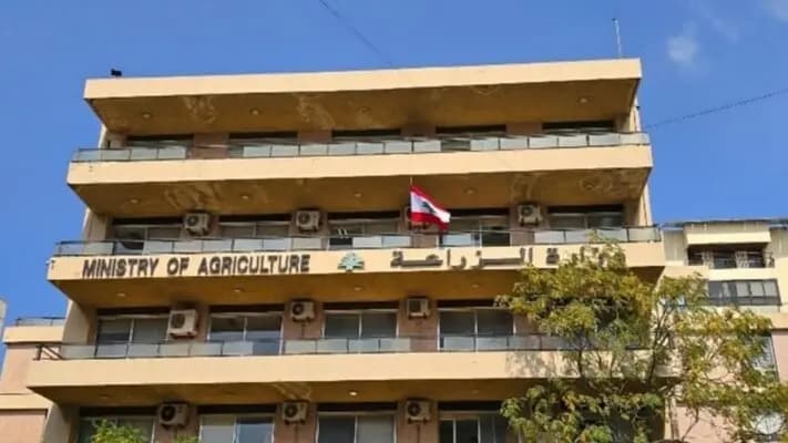 تعزيزًا لإجراءات الوقاية النباتية.. قرار جديد لوزير الزراعة