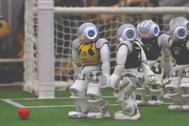 باي باي "حَكَمْ"!