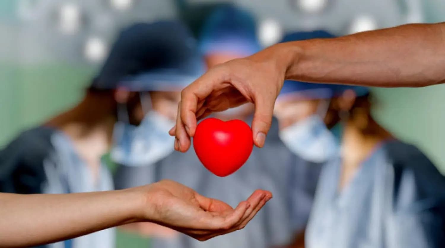 "المجزرة" تحيي حماسة الراغبين في وهب الأعضاء