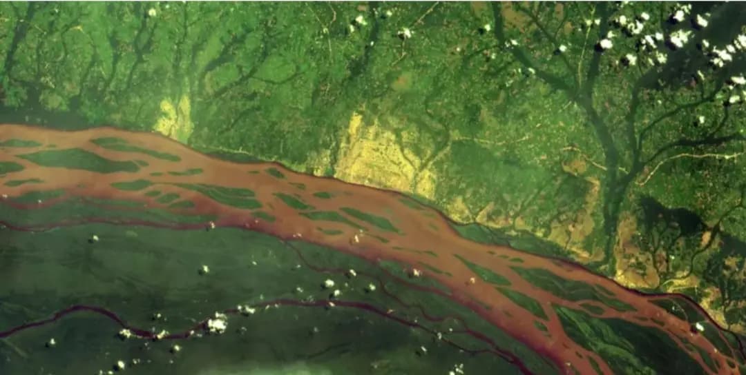 كيف يمكن الحفاظ على الغابات من الزوال باستخدام تكنولوجيا الفضاء؟