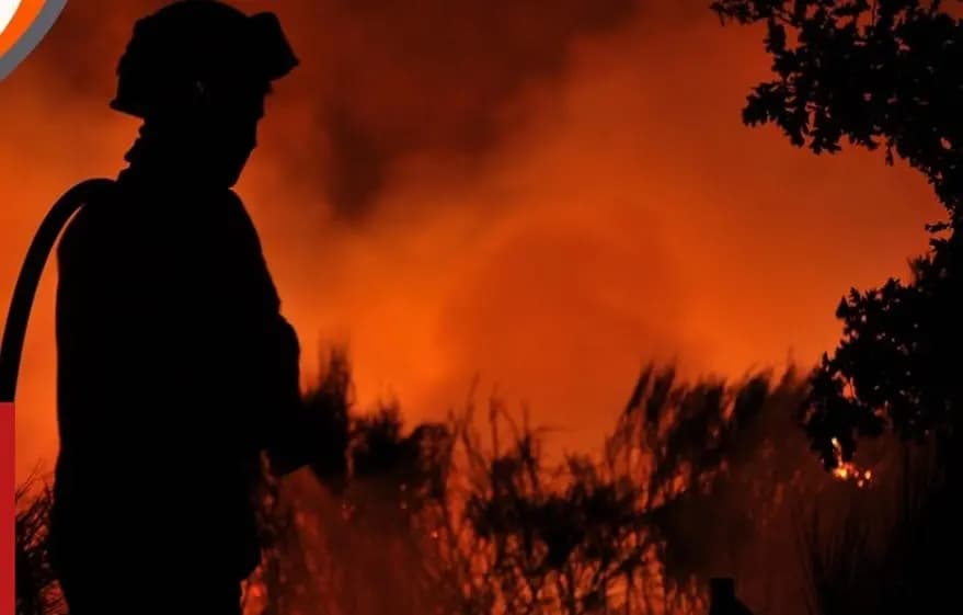 كشف حرائق الغابات في دقائق فقط