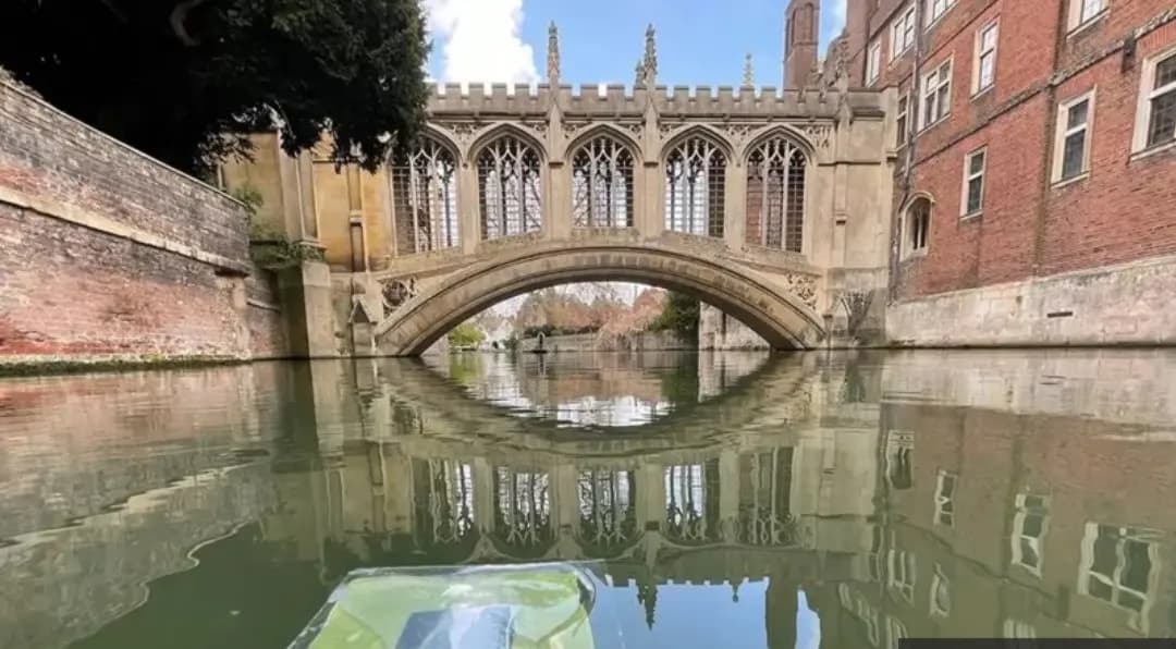 أزمة الوقود: باحثون بريطانيون يطورون أوراقا اصطناعية لإنتاج وقود نظيف من ضوء الشمس