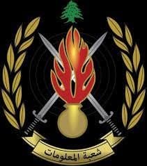 توقيف 4 اشخاص في شكا يروجون المخدرات