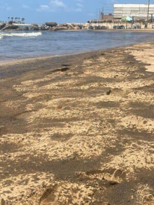 تلوّث في الجيّة.. والتحقيقات جارية