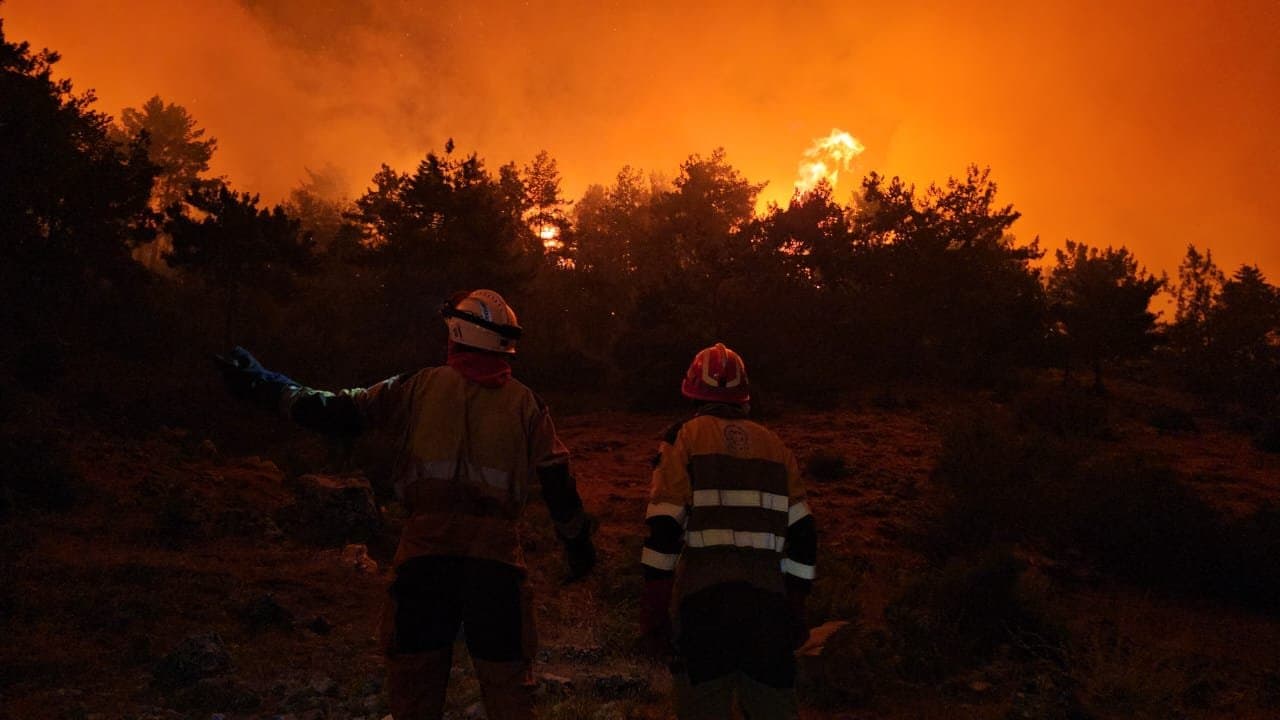 القبيات تشتعل مجدداً.. والوزيرة تطالب بالعقاب