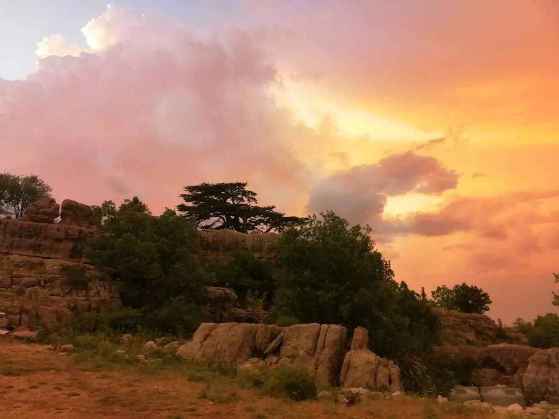 بعد حريق "تنورين" .. يزبك يتحرّك!