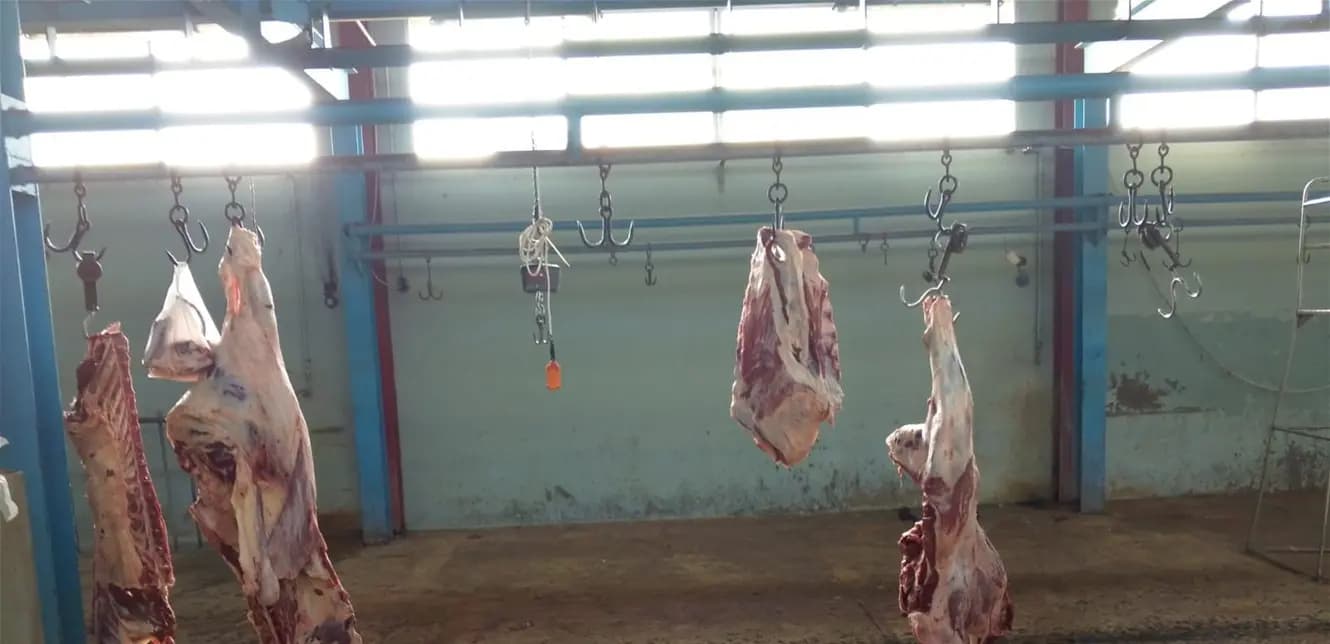 إقفال مسلخ صيدا!