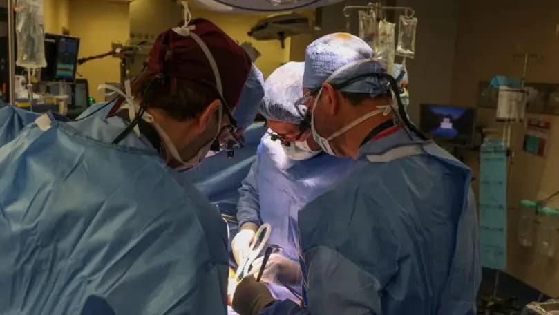 إنسان برئة خنزير!